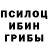 Псилоцибиновые грибы ЛСД Dmitry Plechkov