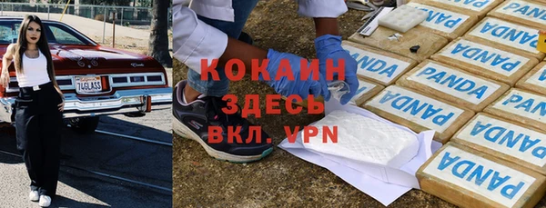 меф Вяземский