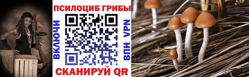 Галлюциногенные грибы GOLDEN TEACHER  наркотики  Данилов 